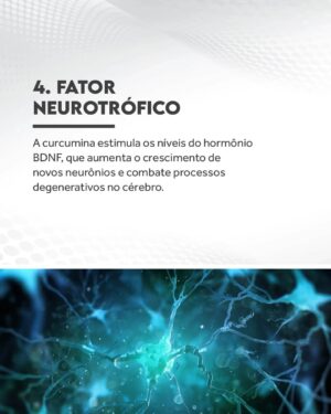Flavio Passos Instagram - Quero te contar mais sobre a cúrcuma, raiz da família do gengibre que é possivelmente uma das substâncias da natureza mais benéficas para a saúde humana.

É a especiaria de vibrante tonalidade amarelo-dourada que dá ao curry sua cor e tem sido utilizada há milênios na Ayurveda, tradicional medicina indiana, como fonte de saúde e bem-estar. Seus compostos são chamados de curcuminoides, dentre os quais o mais importante é a curcumina. 

A ciência moderna destaca a curcumina como um dos mais nobres compostos naturais, uma dádiva com mais de 5.600 estudos científicos publicados para detalhar suas diversas propriedades saudáveis. 

Deslize para o lado e conheça nove dos diversos benefícios que a cúrcuma pode trazer à saúde.

Acesse puravida.com.br e conheça nossa linha de produtos com cúrcuma e curcumina biodisponível. Compre pelo site e receba em casa!

Estudos:
https://pubmed.ncbi.nlm.nih.gov/31121255/
https://pubmed.ncbi.nlm.nih.gov/27533649/
https://www.ncbi.nlm.nih.gov/pmc/articles/PMC7694612/