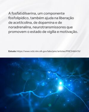 Flavio Passos Instagram - A acetilcolina pode ser considerada a molécula da atenção.

Embora tenha papel também na contração muscular, na produção de sucos digestivos, na vasodilatação e controle da pressão arterial, na redução da inflamação e na atividade do sistema nervoso parassimpático — sua função de maior destaque é a promoção da saúde neuronal e do funcionamento cognitivo.

O Brain Focus, novo suplemento da Puravida, é um nootrópico estruturado a partir de nutrientes que estimulam a síntese do neurotransmissor acetilcolina, ainda mais estimulado por um composto ativo que favorece o estado de alerta, a concentração e a performance mental.

Acesse o site www.puravida.com.br e conheça o Brain Focus! Compre e receba em casa 🧠
