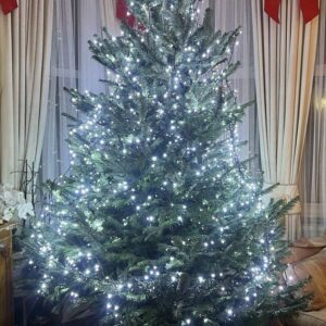 Floella Benjamin Instagram - Oh what joy it is to put up this Christmas tree which I bought locally ❤️