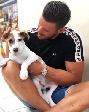 Florent Ré Instagram - Il recherche juste un peu d’amour !!
http://www.spa-marseille.com/