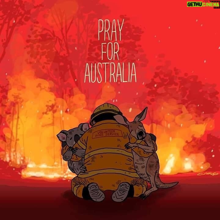 Florent Ré - 5.4K Likes - 🙏🙏🙏🙏😢❤️❤️❤️ #australie #australia #paix #amour #animaux
