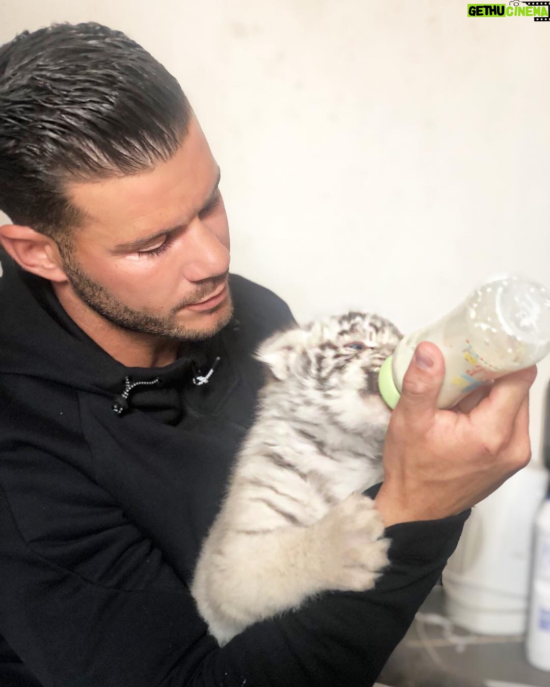 Florent Ré - 5.1K Likes - Merci d’avoir réalisé l’un de mes rêves donner le biberon un bébé tigre blanc