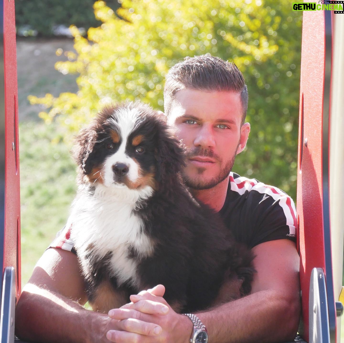 Florent Ré - 5.1K Likes - Les chiens se moquent ...
De si vous êtes beaux ou moches
De si vous êtes riches ou pauvres
Car ils ce focalisent sur ce que vous êtes à l’intérieur...
#amour #chien #bouvierbernois #bouvier #riche #soleil