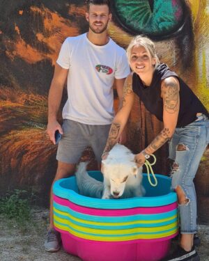 Florent Ré Instagram - Un petit geste pour une grande cause
 un grand merci à @vita_liberte_officiel , @latabledaugustine @antonin_portal et moi-même  @florent_re  Pizzaa Lesfrères on a fait don de 24 petite piscine pour les animaux de @spamarseilleprovence 
#causeanimale #spa #amour
