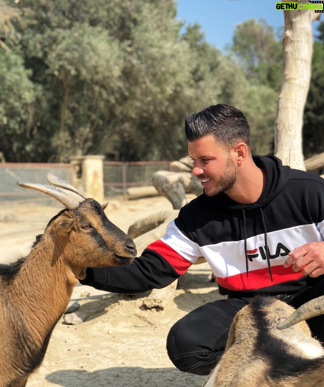 Florent Ré - 3.8K Likes - Une journée exceptionnelle à la réserve africaine de SIGEAN
Les loulous je vous invite à y aller