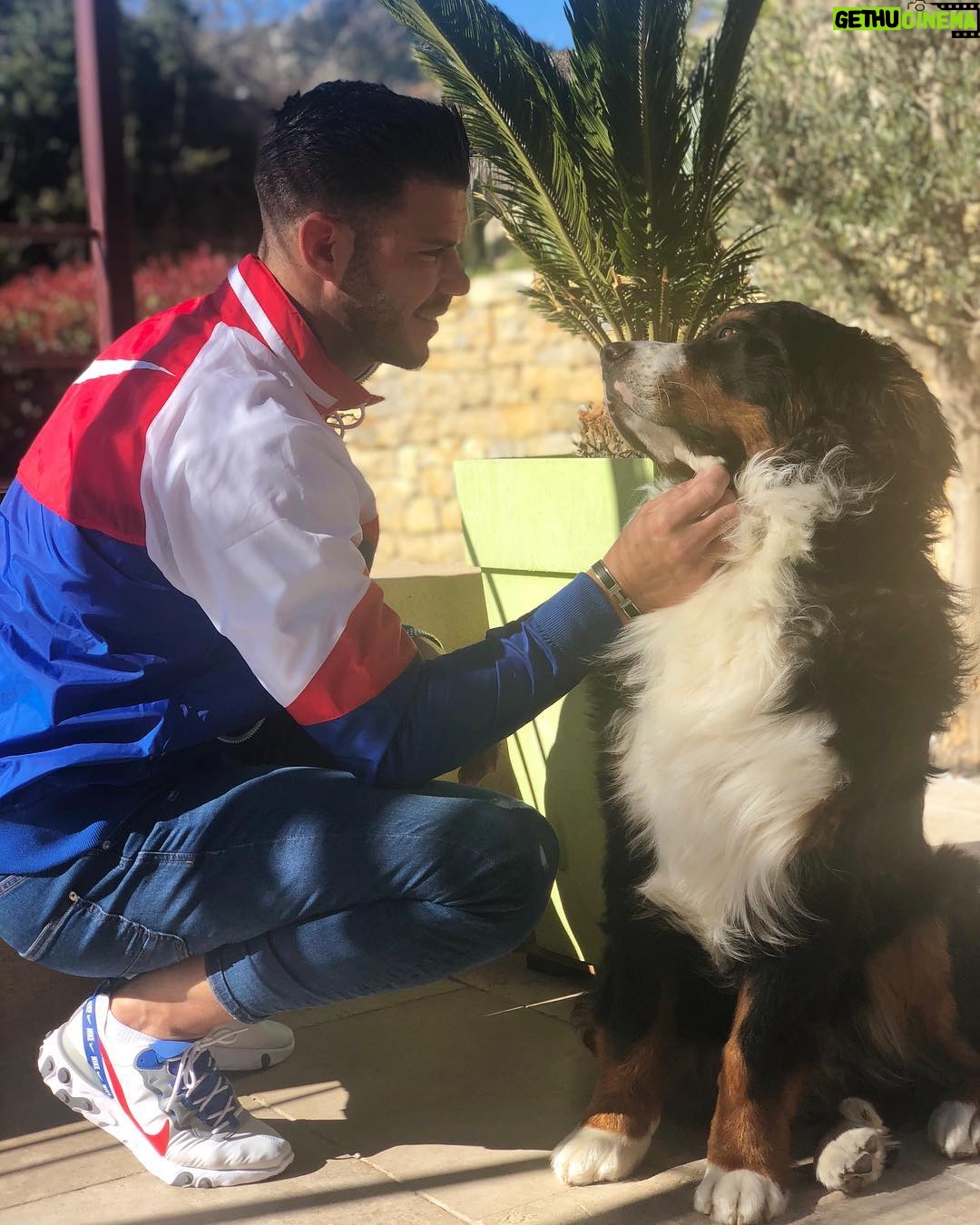 Florent Ré - 8K Likes - Tout le monde pense qu’ils ont le meilleur chien et ils ont tous raison ..
🐕 🐶 #love #chien #bouvierbernois #amour