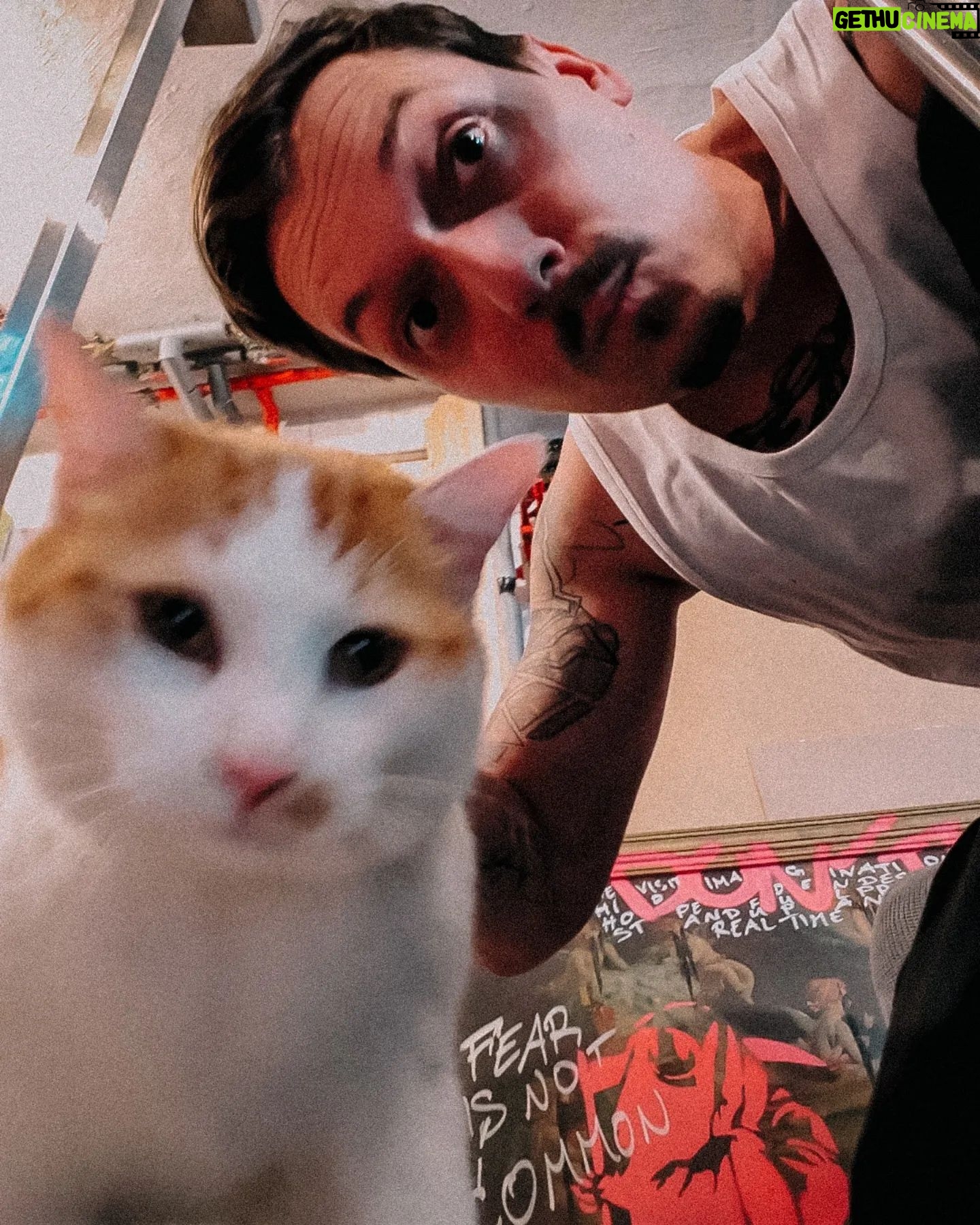 Florian Diedrich - 6.6K Likes - 1 - Progress-Foto für Selbstmotivation! 💪🏻
2 - Dart Training für die Pub Games droht zu eskalieren 🎯
3 - Besuch in der Werkstatt 😸
4 - eins meiner Lieblings-Pieces im aktuellen Drop @i.died.rich
5 - Eisbar! Fand vor allem die Eisgläser übelst nice ❄️
6 - Was die bei "The Fast & The Furious" konnten, kann ich schon lange... 🚗👀
7 - Versteckter Berliner Hinterhof 🪴
8 - Ein Mann und sein Vanille-Softeis 🍦
9 - Handgearbeitete Silberarmbänder von @khasomari
10 - Lost Places (Beelitz Heilstätten)