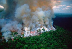 Flowsik Instagram - Listen, I know I’m trying to promote my next single coming out this weekend ... but I really need to post this. The Amazon rain forest is burning and no one cares ... it is 20% of the earth’s oxygen...they say the fire is so immense that you can see the smoke from outer space... are we trying to not breathe? I understand that there’s a lot of political conflicts going on all over the world, but can we please just take a moment to realize that there are far more important issues, such as this? Why do we not care about our planet, we only care about our own selfish desires? Without this place we can’t even do the things we are doing right now..Why did we come down to this? The media ain’t saying nothing in regards to this crisis ... this is 🆘 not on just our precious Amazon, but on us as humans for real...#prayforamazonia
