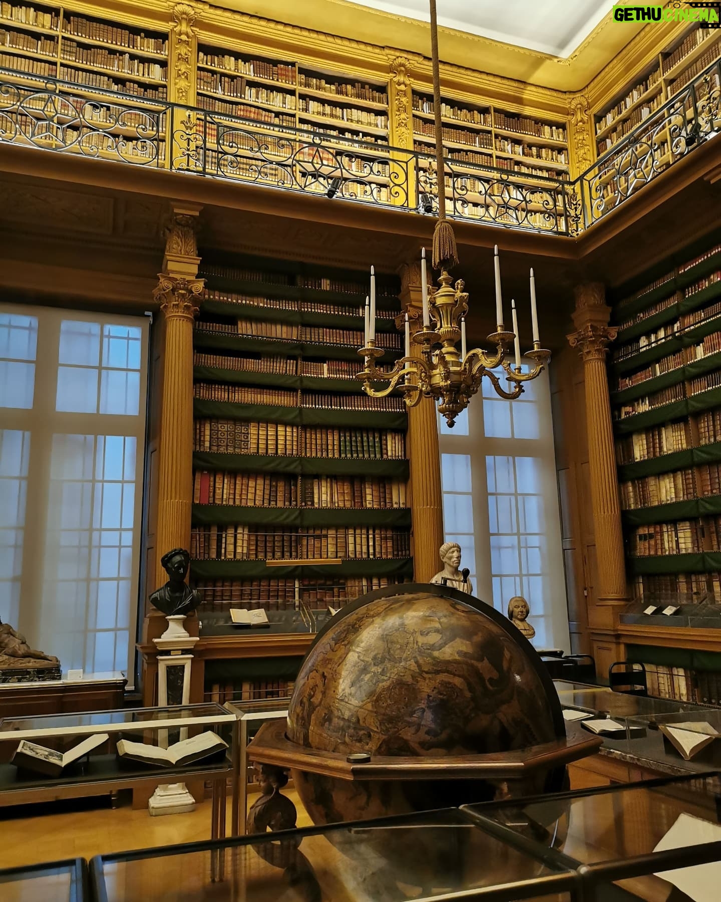 Forest Whitaker - 2.2K Likes - Another take from the French Institute: their library feels like a time machine taking you back to a different era of History! That was so exciting!