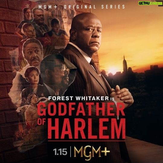 Forest Whitaker - 5K Likes - The clockās ticking. See you January 15th for Season 3 of @godfatherofharlem on #MGMPlus (EPIX is becoming MGM ).
#GodfatherofHarlem