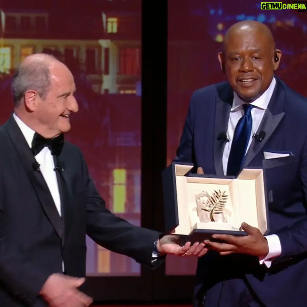 Forest Whitaker - 2.8K Likes - Thank you so much Cannes! Receiving the 2022 Palme dāor d'honneur is a grace beyond words! My gratitude goes to Pierre Lescure and Thierry FrĆ©maux for granting me this award, and for their commitment to cinema as a universal art
@festivaldecannes #cannes