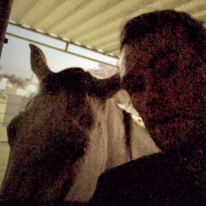 Forrest Griffin Instagram - Fun Fact Friday with Forrest! Horses and Blue Whales. 🍆 Don’t believe me? Look it up! #horses #whale #whales #horse #horsesofinstagram #facts #fact #facts💯 #factsdaily #itstrue #lookitup #science #funfacts #funfactfriday #yourewelcome #horsepower #horselover #horselife #animalkingdom #animalfacts #horsefacts #whalefacts