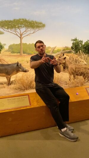 Forrest Griffin Instagram - Fun Fact Friday From Forrest! #hyenas #wildlife #museum #hyena #hyenasofinstagram #hyenalove #fact #itstrue #lookitup #nature #carnivore #dogs