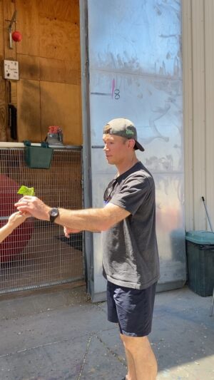Forrest Griffin Instagram - Fun Fact Friday From Forrest, F’n Finally! @lionhabitatranch #reticulatedgiraffe #ozzy #girraffe #feeding #girraffesofinstagram #tall