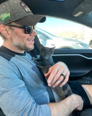 Forrest Griffin Instagram - Meet Bronson. I adopted a kitten for my daughter, or for me. One or the other. 🐈‍⬛ Thanks @heartsaliveanimalrescue #cats #catsrule #heartsaliveanimalrescue #cat #catlover #catlife #catloversclub #kitten #kittensofinstagram #kittens_of_world #catlife #catlovers #kittens #greycat #carride #kittenlove #rescuecat