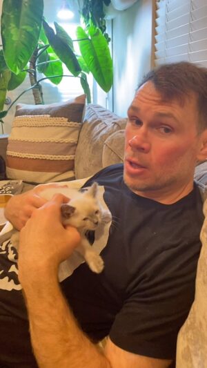Forrest Griffin Instagram - Fun Fact Friday From Forrest, a day late as usual! If you don’t think kittens are cute, well…you know what you can do. #kittens #kitten #adopt #adoptakitten #blueeyes #catfacts #kittenfacts #fact #facts #facts💯 #cuteanimals #cutekitten #totalcatmojo