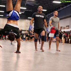 Francisco Trinaldo Instagram - Treinos Duros! wrestling, Porrada, Jiujitsu, Boxe e mais Porrada!! Esse é nossa Vida do MMA Entendeu!! 10 de Novembro 
Hard Training!!! wrestling, Fight, Jiujitsu, Fight, Boxing! That’s MMA Welcome Bare Knuckle 👊🏻
Let’s go @gamebredfc @gamebredfighter November 10th
