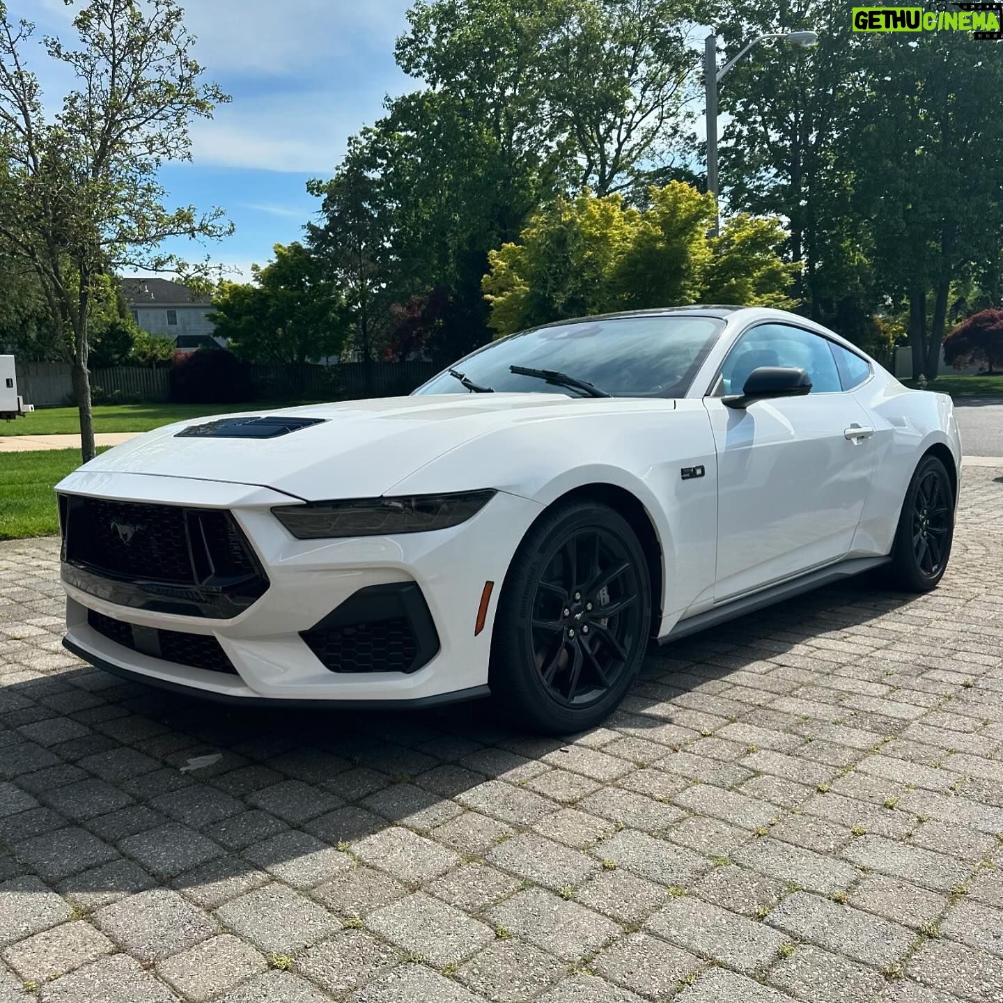 Frankie Edgar - 2.3K Likes - Super pumped to whip this bad boy from @celebrityford this summer! I’ve always been into Mustangs, maybe the Jersey Shore in me lol. But this one right here is really fun to drive! Check out Celebrity in Toms River for your next vehicle.