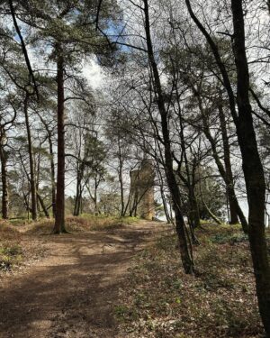 Fred Sirieix Instagram - Back from a spectacular 15kms walk in the Surrey hills. Can you guess where from the pictures? What beautiful and tranquil countryside. The clean air and sounds of the forest is such a good way to clear your head and open the appetite. Left over #beefbourguignon with roast potatoes tonight 😋