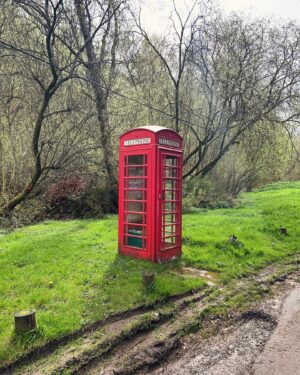 Fred Sirieix Instagram - Back from a spectacular 15kms walk in the Surrey hills. Can you guess where from the pictures? What beautiful and tranquil countryside. The clean air and sounds of the forest is such a good way to clear your head and open the appetite. Left over #beefbourguignon with roast potatoes tonight 😋
