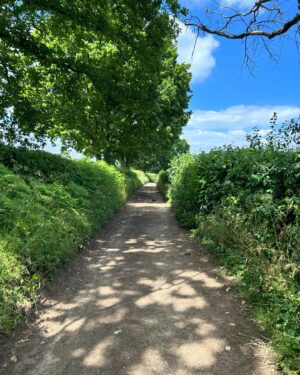 Fred Sirieix Instagram - Back from a beautiful walk in the Kent countryside. 12.80k in 2.20h. Earl grey and footy on the TV now! ⚽️