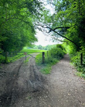 Fred Sirieix Instagram - Back from a beautiful walk in the Kent countryside. 12.80k in 2.20h. Earl grey and footy on the TV now! ⚽️