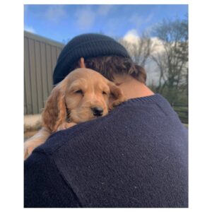 Freddie Thorp Instagram - Welcome to the family little Sula! 🤗💙