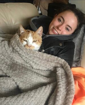 Freya Tingley Instagram - Secret lyf3 of🐱s

Trigger warning: photos contain content of cats being tortured… with love.