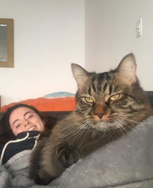 Freya Tingley Instagram - Secret lyf3 of🐱s

Trigger warning: photos contain content of cats being tortured… with love.