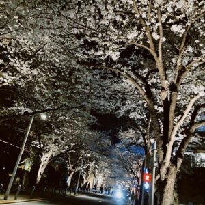 Fujiko Kojima Instagram - 