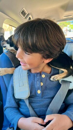 Gabriel Louchard Instagram - Eu já to quase um São Francisco de Assis… #resgateanimal