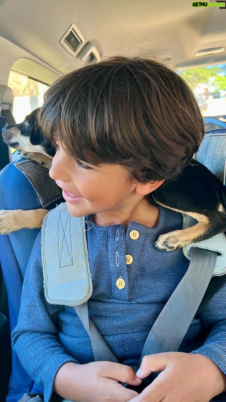 Gabriel Louchard - 2.7K Likes - Eu já to quase um São Francisco de Assis… #resgateanimal