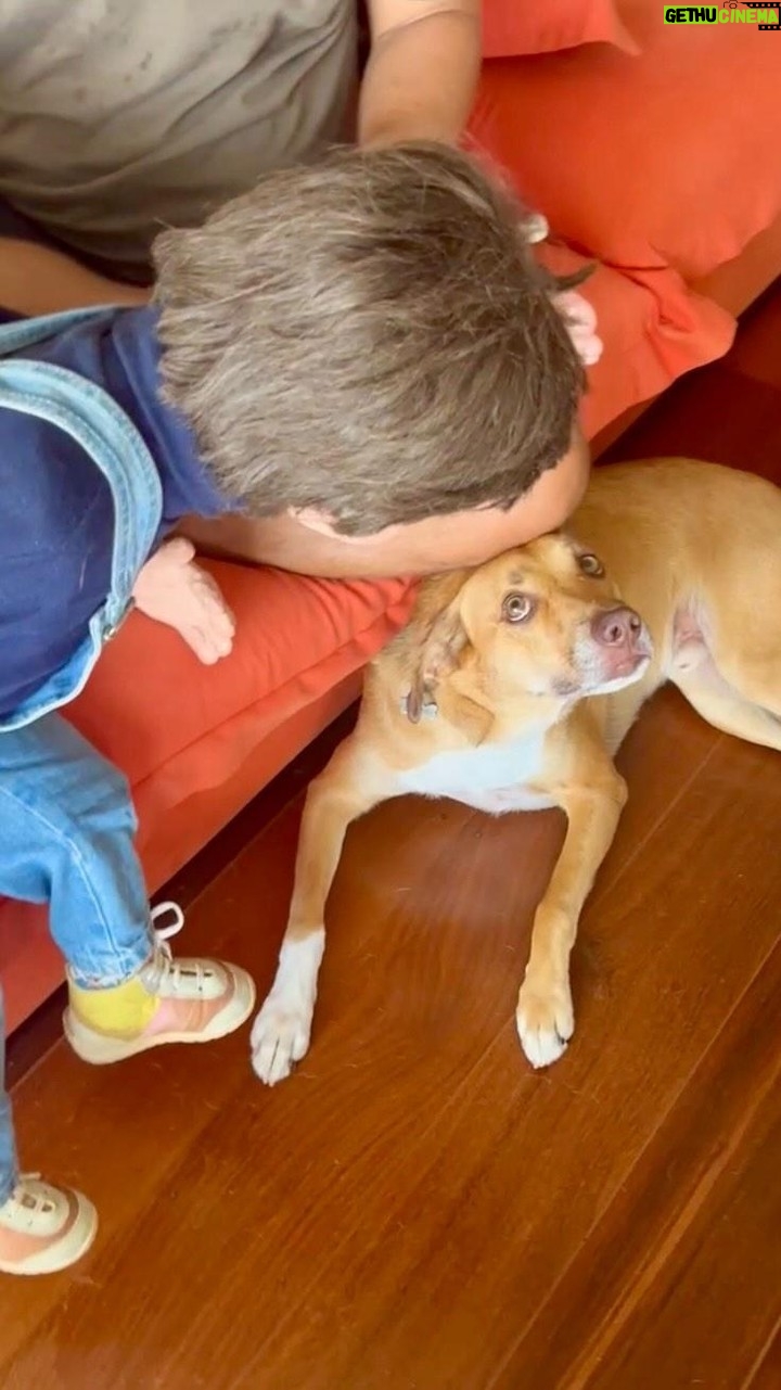 Gabriel Louchard - 1.3K Likes - A relação está excelente entre Simba x Boneco Modesto.
A casa da Paz!
#viralata #cachorrocaramelo #paidemenino #paidepet