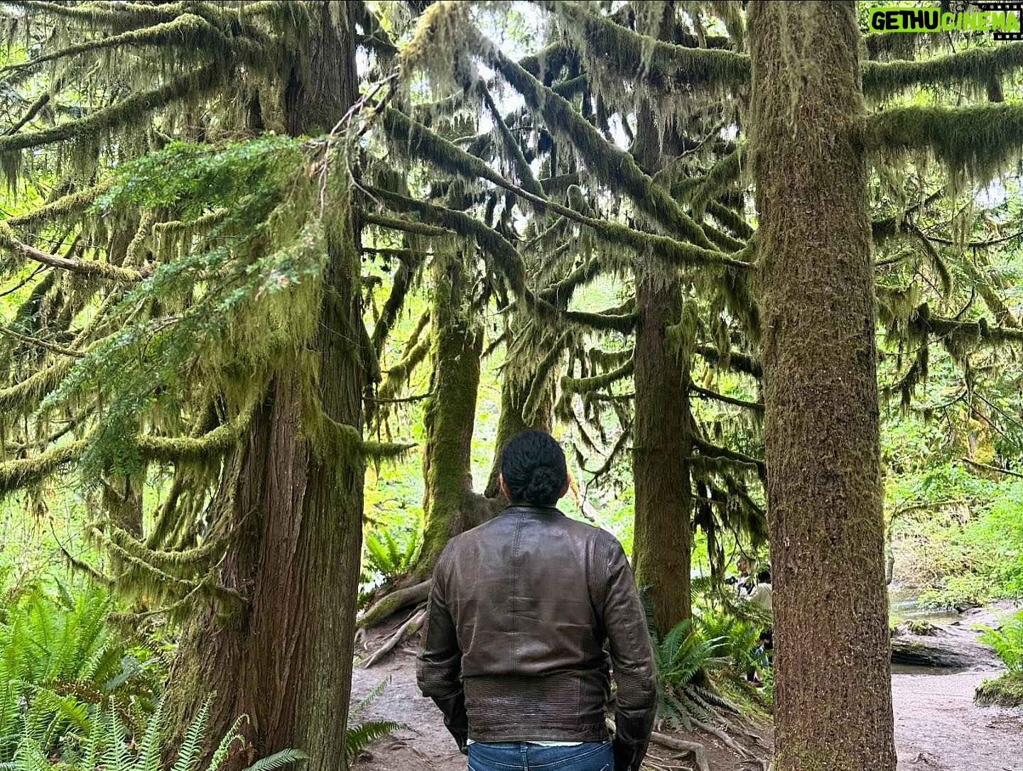 Gabriel Luna - 5.2K Likes - Tofino, BC. #rainforest #stormgazing
