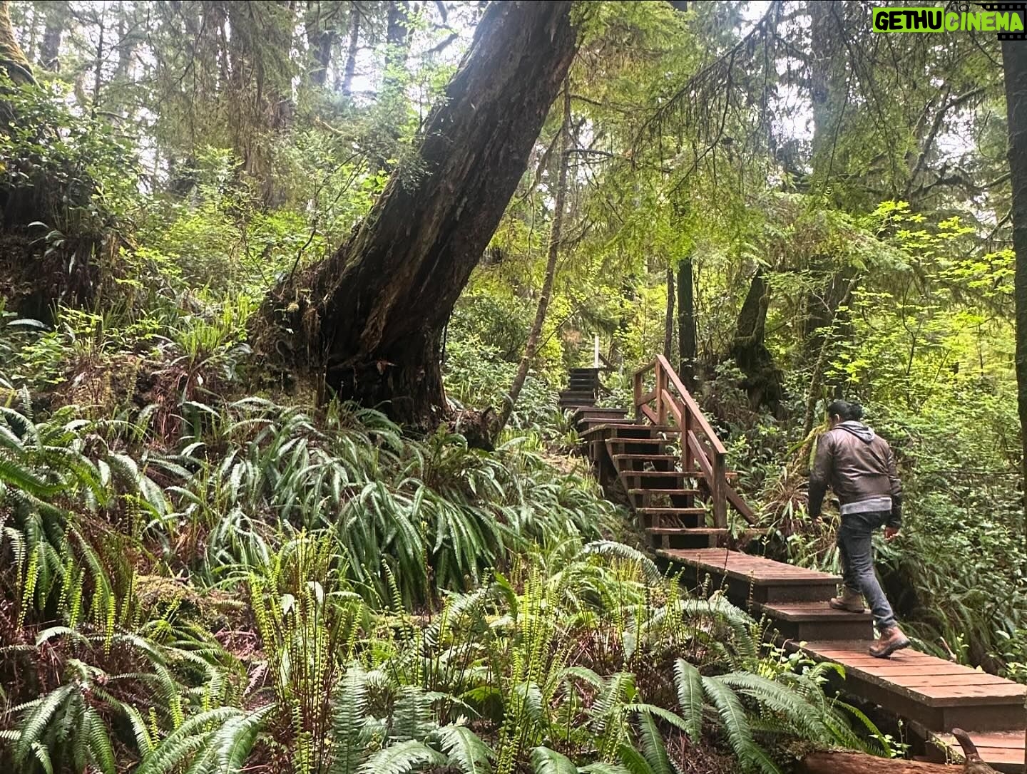 Gabriel Luna - 5.2K Likes - Tofino, BC. #rainforest #stormgazing