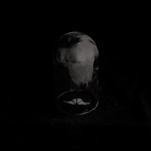 Gabriel O'Shea Instagram - fuga (2021)
#gabrieloshea 
www.gabrieloshea.com 
•
#wabisabiart#wabisabiculture#darkphoto#stilllifephotography#naturalezamuerta#wabisabiphotography#wabisabistyle#wabisabiart#fujifilmcamera#fujifilmxseries#mariposa#reliquia#35mmphoto#darkphotography