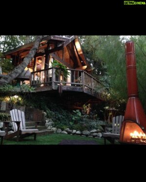 Galen Gering Instagram - I built a treehouse and a tee-pee and a fire and we had a dance party and burnt a hole in the fake grass and it was awesome. 
#treehouse
#outdoorliving 
#cali
#danceparty 
#indooroutdoorliving
#design #hardscape