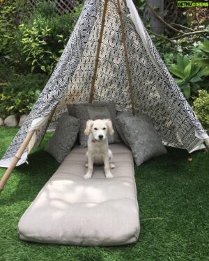 Galen Gering Instagram - I built a treehouse and a tee-pee and a fire and we had a dance party and burnt a hole in the fake grass and it was awesome. 
#treehouse
#outdoorliving 
#cali
#danceparty 
#indooroutdoorliving
#design #hardscape