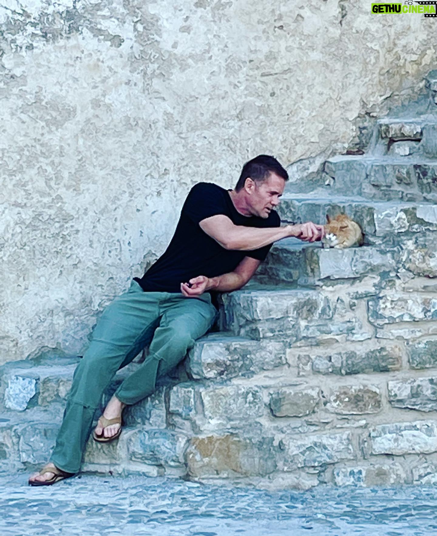 Garret Dillahunt - 3.7K Likes - Street-kitten love #Tangier. Such a sweet girl. Skittish at first, but quickly learned she loved an ear scratch and shoulder rub. 💔. Thx @brett4238 for the 📷