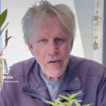 Gary Busey