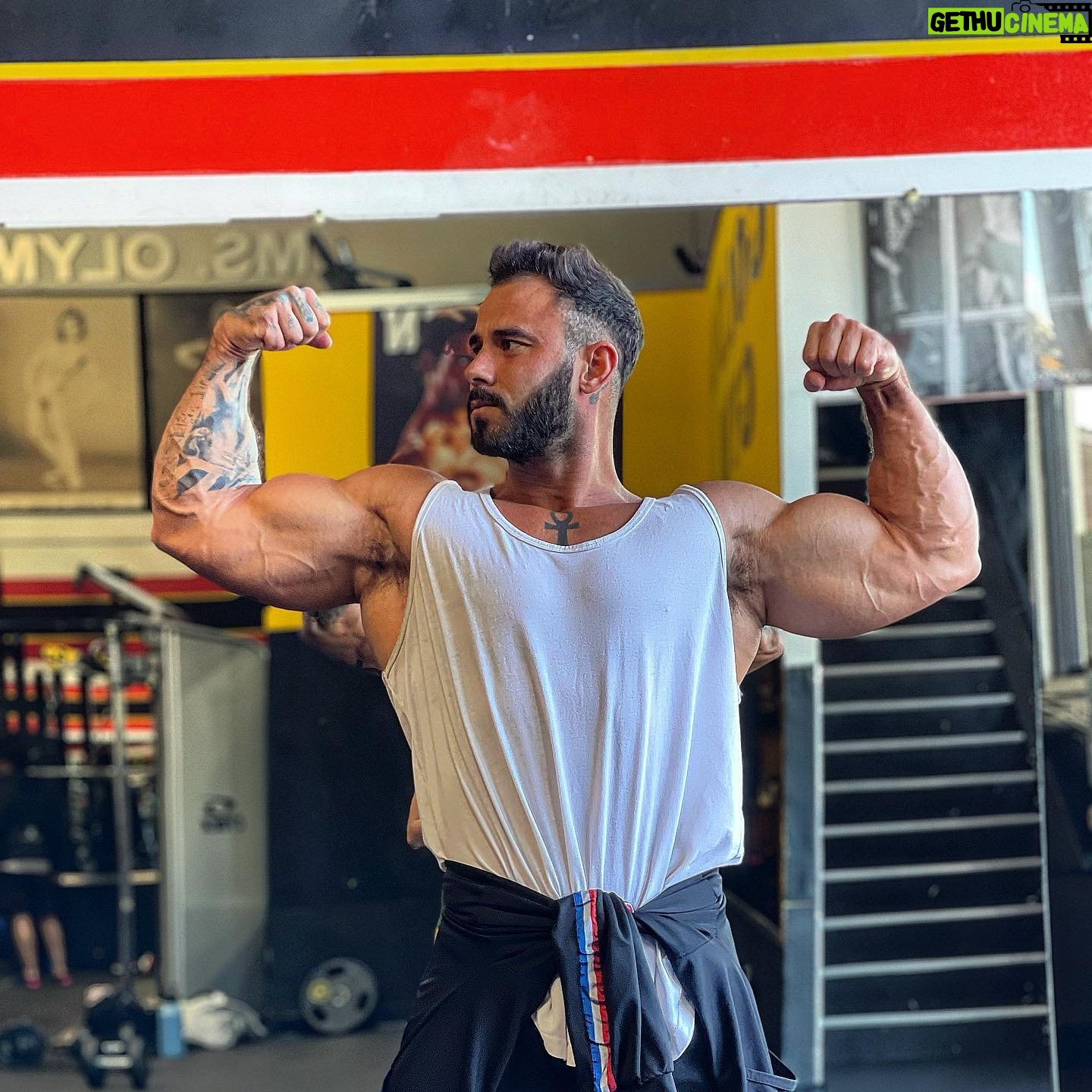 Gauthier El Himer - 3 Likes - • SKINNY BITCH 💪🏽
#goldgym #fitness #art #lifestyle #motivation #classic #bodybuilding