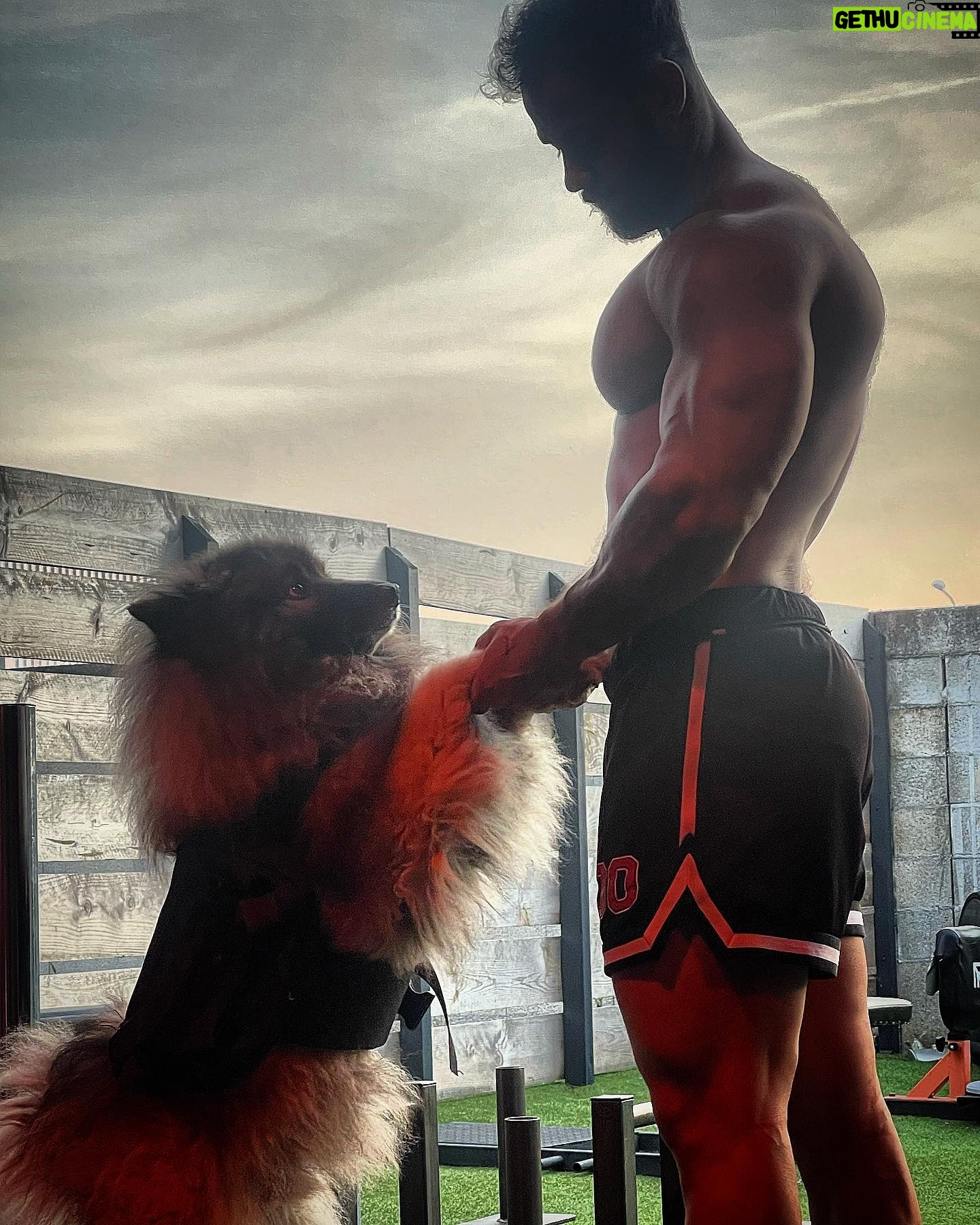 Gauthier El Himer - 3 Likes - ❤️🐶