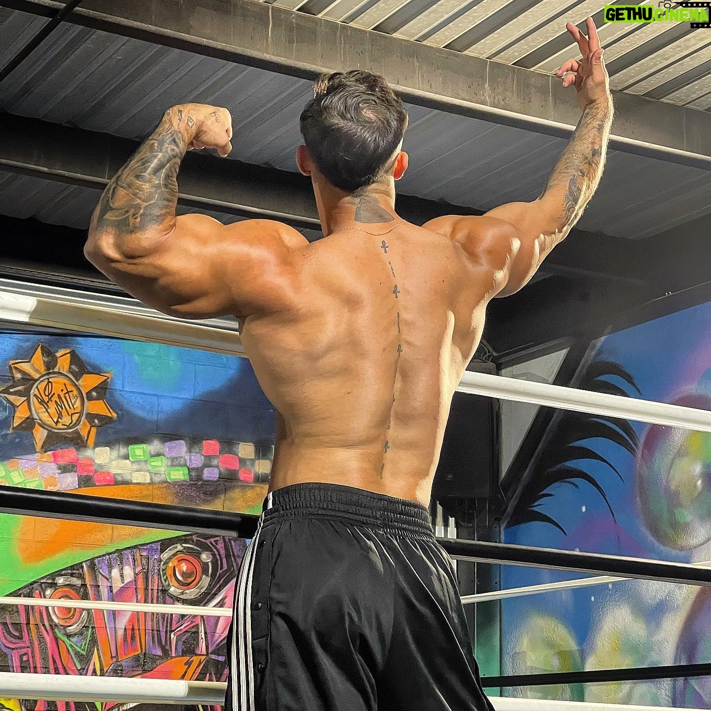 Gauthier El Himer - 3 Likes - Être NATTY c’est un état d’esprit .
Un peu comme être SKINNY . 😘
#natty #musculation #fitness #bodybuilding #motivation #zyzz