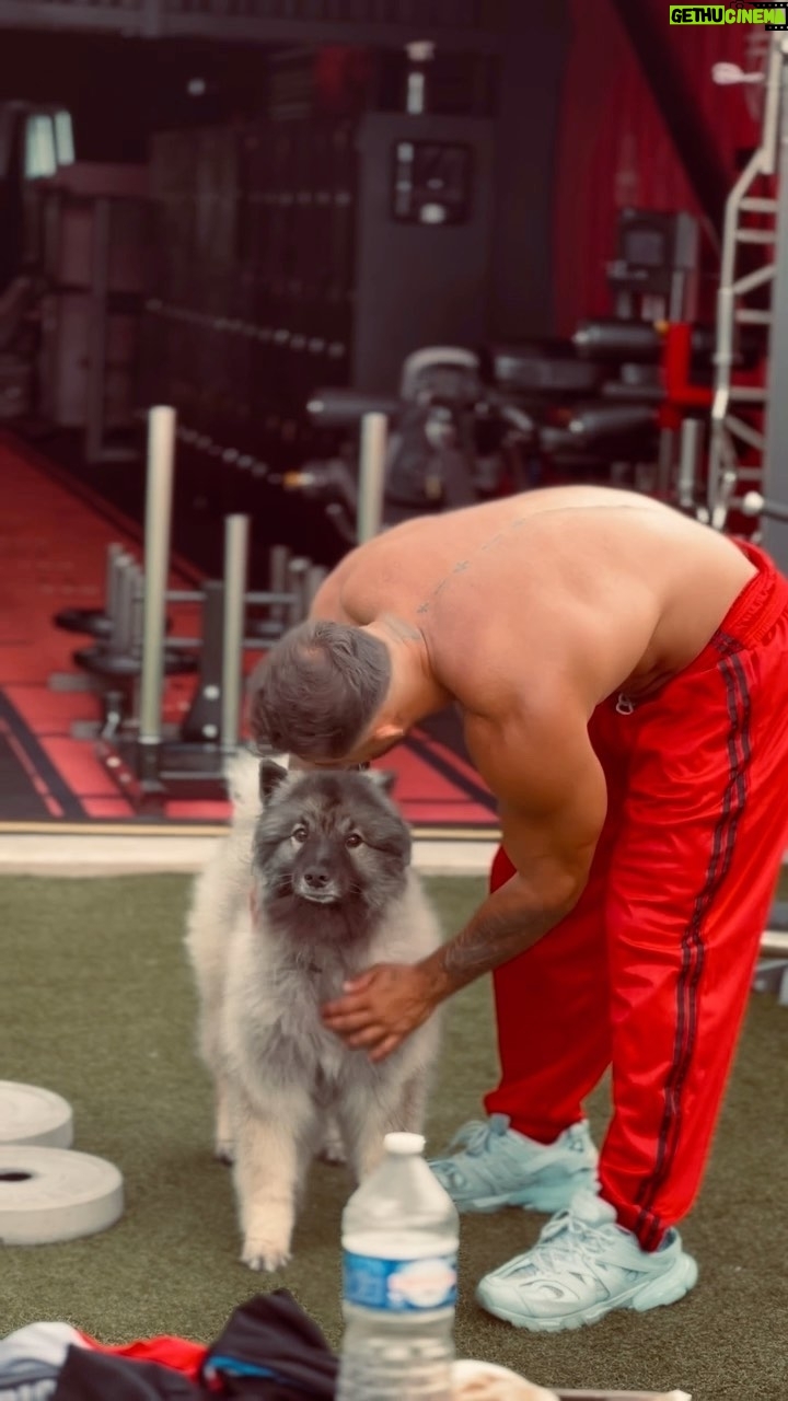 Gauthier El Himer - 1.2K Likes - 🔺 FITNESS PARADISE 💪🏽
Merci à @veniceweights pour les disques maison ✌️
#fitness #musculation #motivation
📽 : @malveines