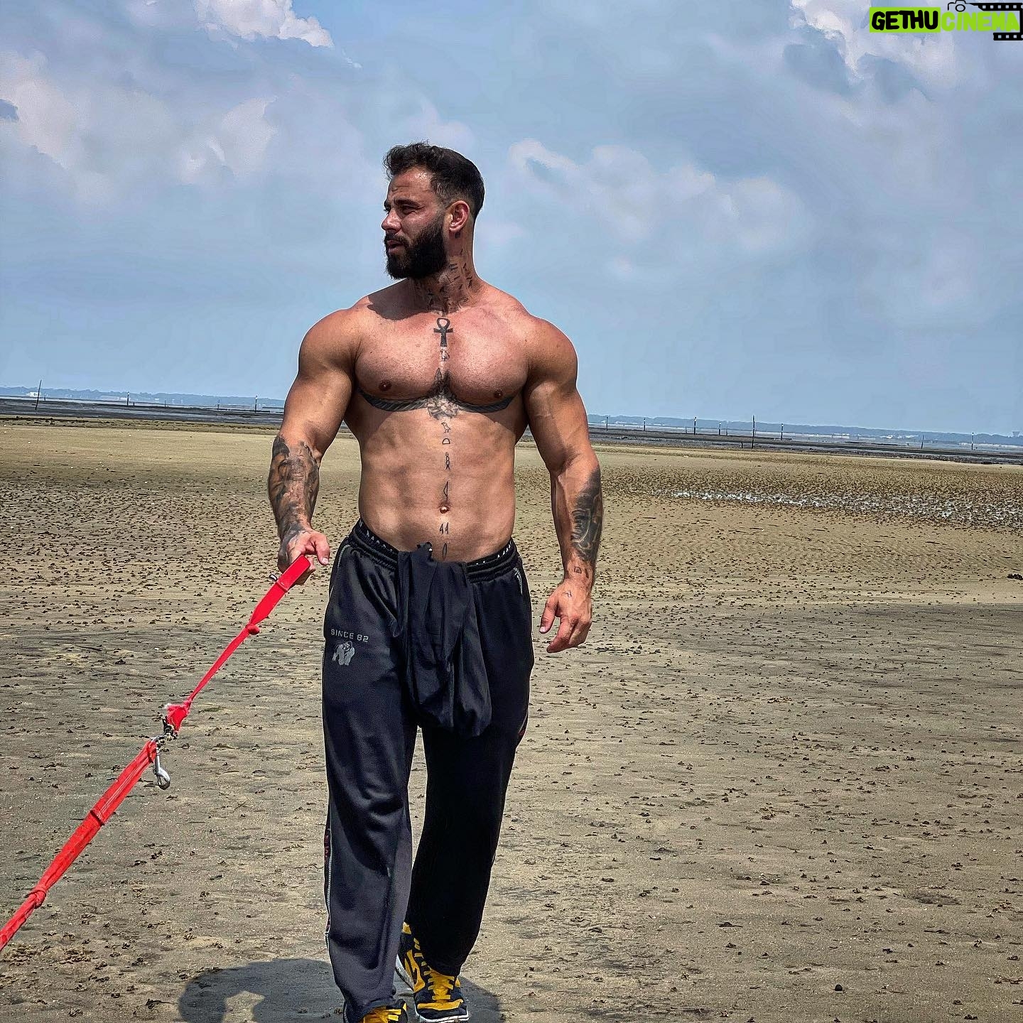 Gauthier El Himer - 3 Likes - 🔺....