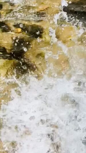 Geethi Sangeetha Instagram - Life’s Abundant and Beautiful..
And it’s a good place that we’re all in, you know, 
On this Earth, if we take care of it..

Alice Walker
.
.
.
.
.
.
.
.
.
.
.
.

#nature #naturephotography #naturelovers #river #waterfall #enjoylife #enjoyeverymoment #onelifeliveit #today #happiness #saturdayvibes #life #trending #picoftheday #iphoneography #lifeisbeautiful #viral #forest #forestphotography