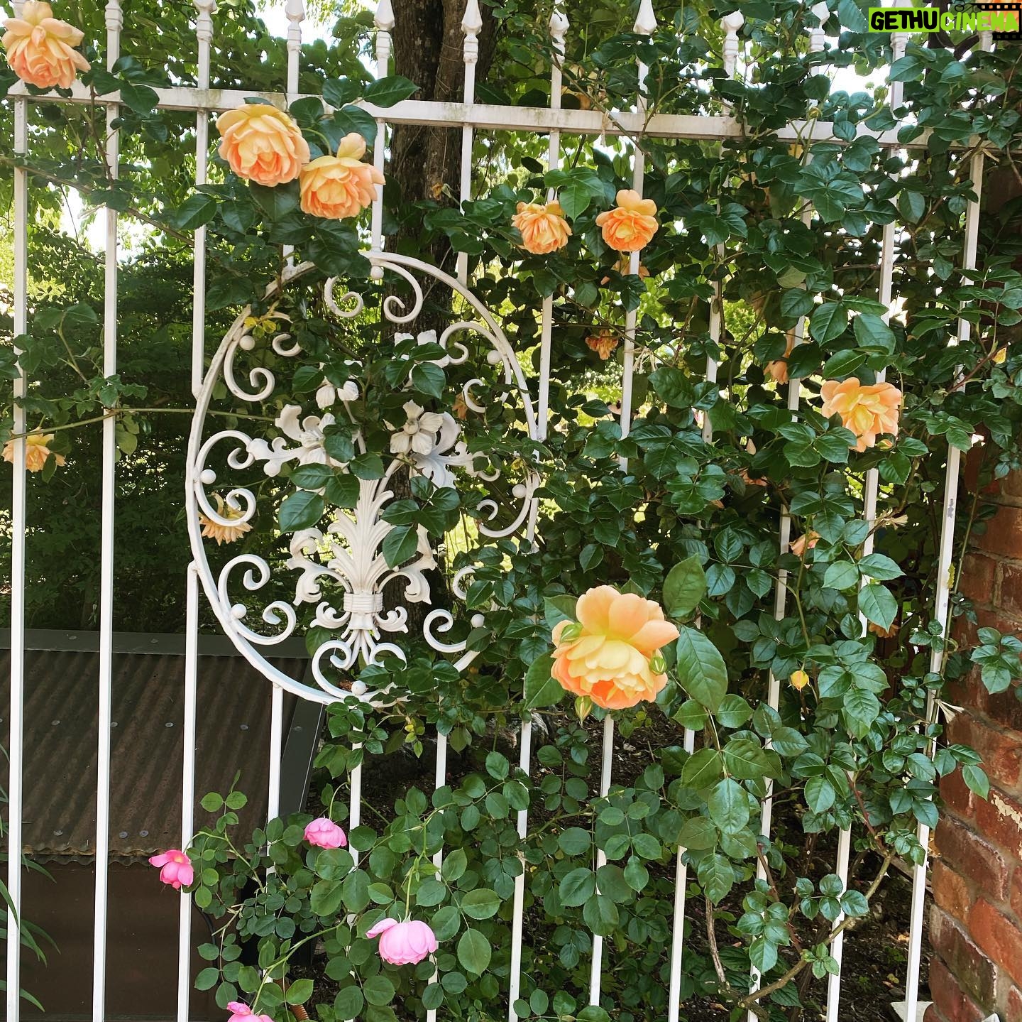 Gemma Louise | Gethu Cinema