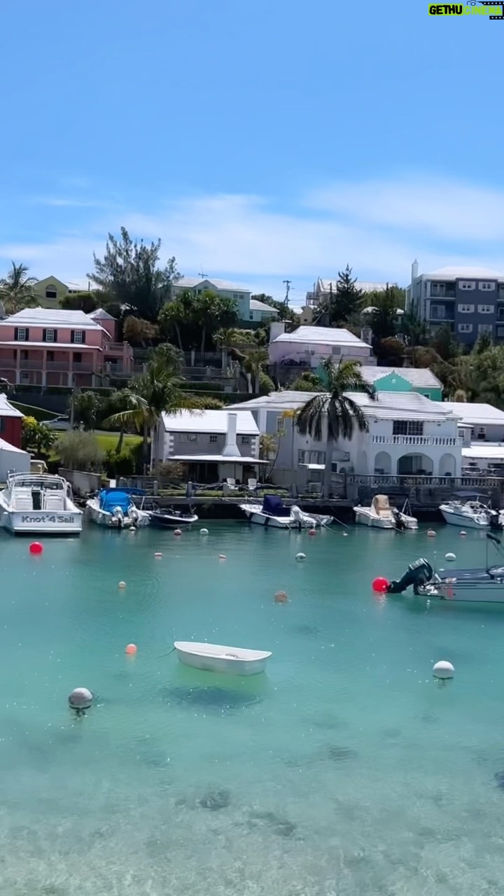 Genesis Lynea - 3 Likes - A Bermuda Movie 🏝️