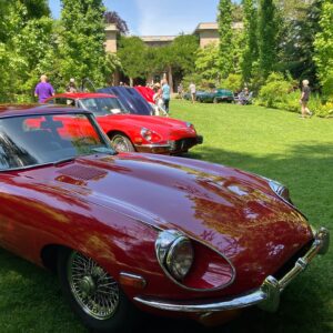 Genoveva Rossi Instagram - My 2nd year attending CATS IN THE GARDEN XVII; a jaguar car show at @vanvleckhouseandgardens rious

#genovevarossi  #vanvleckhouseandgardens #montclairnj #garden #jaguar #carshow #luxurycars #jaguarcarshow
