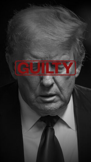George Takei Instagram - The presumptive Republican nominee for president is a convicted felon—found guilty by a jury of ordinary Americans.

Let that sink in.